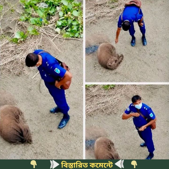 আহারে কপাল দায়িত্ব থাকা পু..লিশ  ভাই পরে থাকা বস্তার মুখ খুলে দেখলেন উনার নি.জের ব..see more