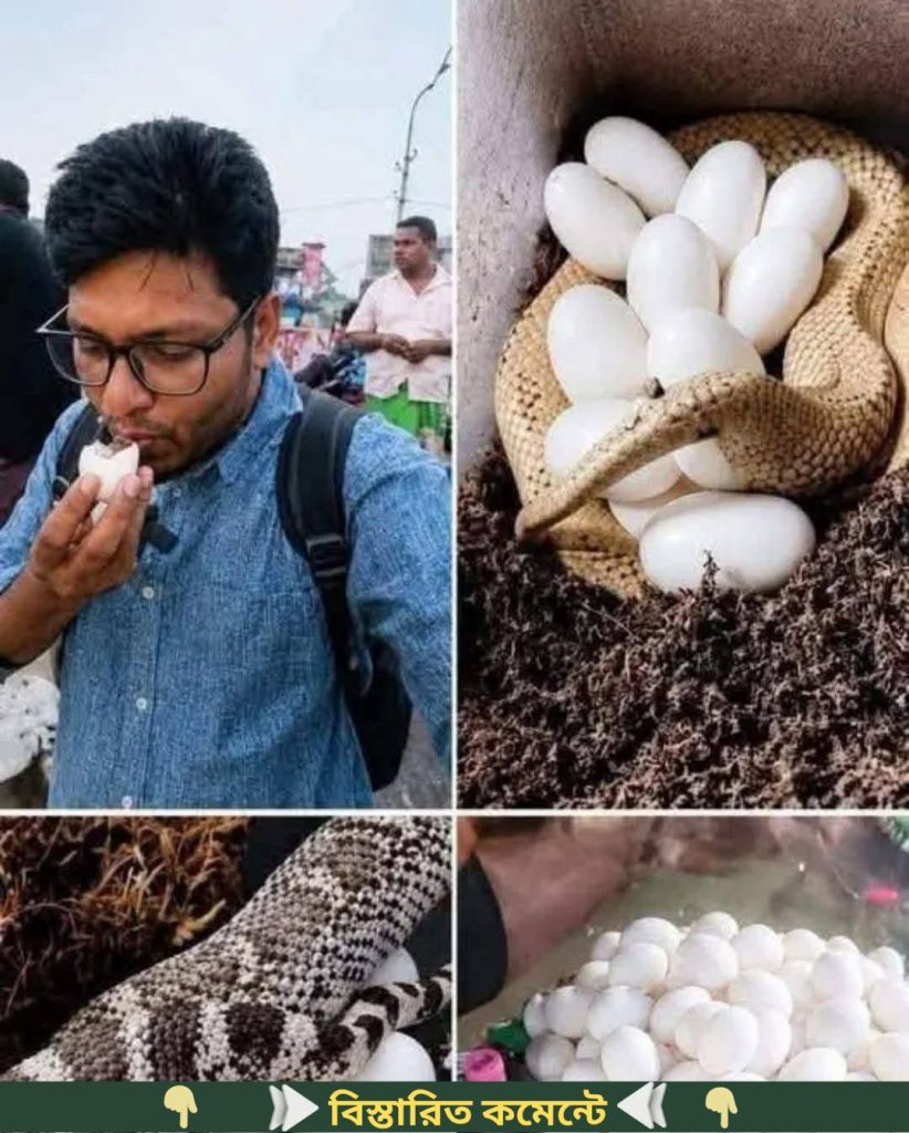 ছেলেটি রাস্তায় সেদ্ধ ডিম কিনে খাচ্ছিলো কিছুক্ষণ পরে তার পুরো শরীর…See more