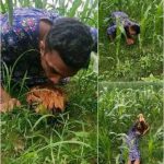 ভু’ট্টা ক্ষে’তে সারারাত পা’হারা দেওয়ার পরে দেখেন একটি মু…See more