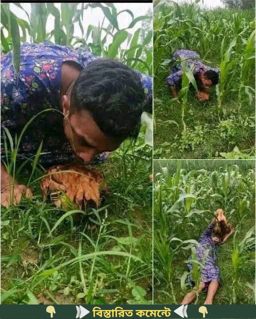 ভু’ট্টা ক্ষে’তে সারারাত পা’হারা দেওয়ার পরে দেখেন একটি মু…See more