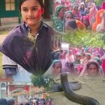 এসএসসি পরিক্ষায় উত্তীর্ণ হবার আনন্দ ফুরিয়ে যাবার আগেই সোনালী…see more