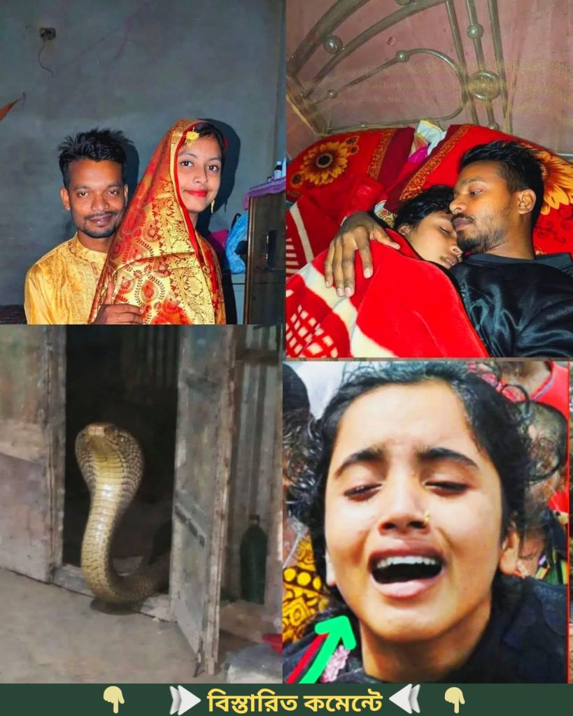 বাসর ঘরের পাশেই ছিলো সাপের খনি, বাসর রাতে হঠাৎ অন্ধকারে বউ দেখে সাপ…..See more